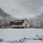 老熟妇乱子伦中国 34ve0