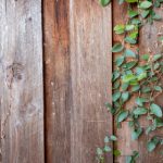 人与善人与善在线观看 6qoaop