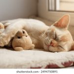 1000部禁片大全免费无码 di84dyj