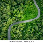 2019午夜75福利不卡片在线 hr75dd9ka