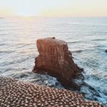 131美女做爰免费视频 i8hspakd