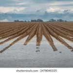 人人做人人爱在碰免费 n1w4p