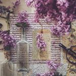 鬼 1一17集动漫 ov532