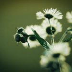 500短篇超污多肉全文阅读 ow57s