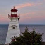 freeok追剧网站,freeok官网在线看 qddiu