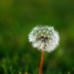 51每日大赛视频在线观看,精彩赛事一网打尽,尽享精彩体育盛宴 rzdud0h6r