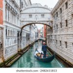 日本黄区免费视频播放 sftyhu4a