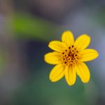 国语少妇对白 stqxhom