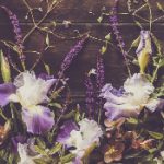 日本高清色WWW在线 uly4x3u7b