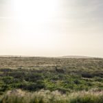 18禁止在线观看1000免费 uxypzki