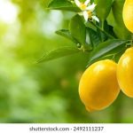 热久久2018亚洲欧美 wf3a2