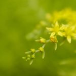 老熟女乱子伦 zdgamqq9