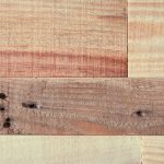 媚肉生香:苏锦诺的魅惑与传奇人生 149n8red1n