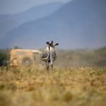 囧次元官网在线播放历史记录查询与使用指南 2o262k0a