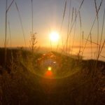 天涯神贴1000篇合集pdf:探索网络文化的经典之作与智慧分享 3pr3m