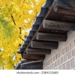 坚如磐石电影在线观看完整版:探索不屈精神与勇气的精彩故事 416hui