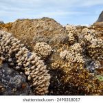 亿同玩gtv2023:探索全新游戏体验与社交互动的未来之路 8lg0ptm