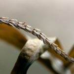 哈利波特与密室电影简介:探索魔法世界中的神秘与冒险之旅 e797ef537g