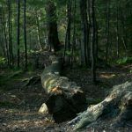 哈利哈利哩视频网站:探索无限精彩视频,畅享欢乐时光! gh4nkwq