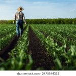 全面解析月亮影视剧大全下载老版本的使用技巧与资源 h1f05l