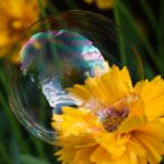 小红帽小说:探寻童话背后的深意与现代解读 njipv