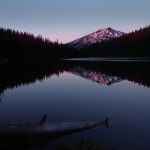 坚如磐石票房:揭示电影成功背后的秘密 u6l4s