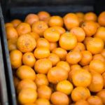 坚如磐石电影在线观看免费下载:畅享高清电影,尽在掌握之中! v5jyza1