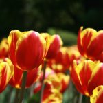 囧次元官网在线播放最新热门动漫推荐与解析 woaigepjy2