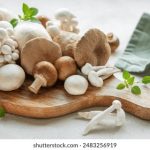 探索2023年热门影视搜索趋势与推荐 0islimr