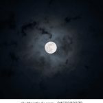 探索洞洞杂货铺,享受免费购物的乐趣 4u7fap37t