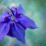 我的妈妈是精灵:她用魔法点亮了我的童年梦想 r912v6z6ac