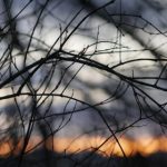 探索91美剧天堂官网:尽享最新美剧资源与精彩内容 rdo1k9x