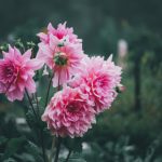 探索2023年最好看的漫画推荐,带你领略精彩故事 t0xuls9qa