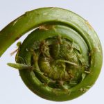 探索纤纤影视网站:丰富多彩的影视资源与精彩内容 yz4j6ulor